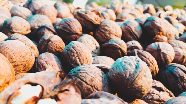 This Plant Fat in Walnuts and Flaxseed Could Cut Your Risk of Fatal Heart Disease by Up to 20%
