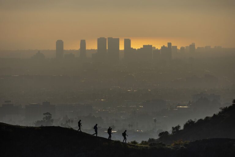 Does Air Pollution Cancel Out the Benefits of Your Daily Walk? A Study of 1.5 Million People Has an Answer