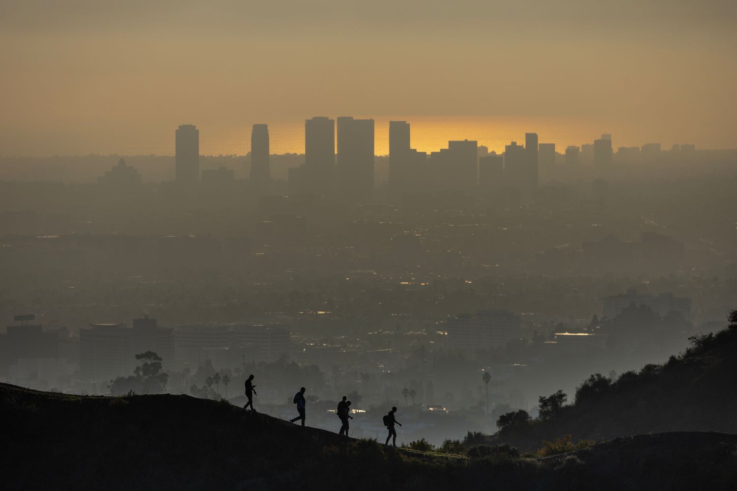 Does Air Pollution Cancel Out the Benefits of Your Daily Walk? A Study of 1.5 Million People Has an Answer