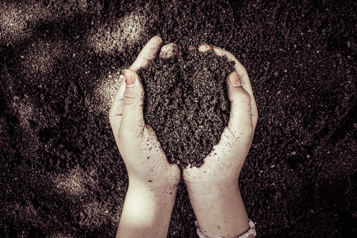 Plastic Pollution Is Quietly Boosting the Carbon Locked Away in Soil