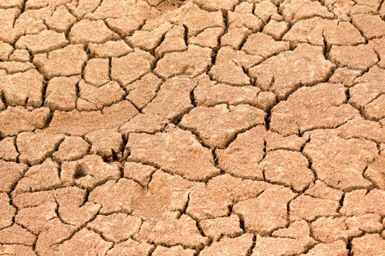 40% Worse: How Global Warming Is Supercharging Droughts Worldwide