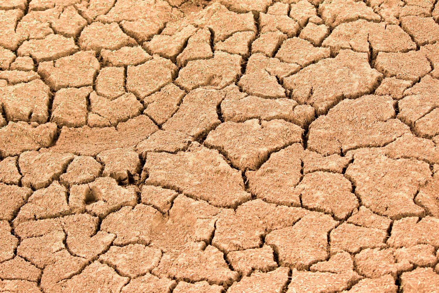 40% Worse: How Global Warming Is Supercharging Droughts Worldwide