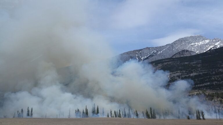 Canada’s Worst Wildfire Season Wasn’t Bad Luck. It Was Climate Change.