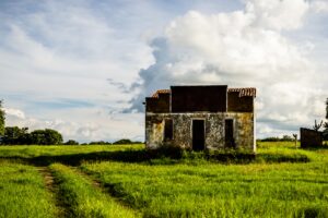 Europe’s Abandoned Farms Are Turning Wild. Is That Good for Nature?