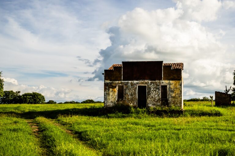 Europe’s Abandoned Farms Are Turning Wild. Is That Good for Nature?