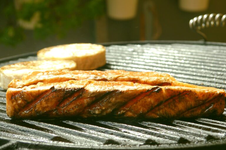 Multiple Sclerosis: Why Fish Might Slow Down Disability