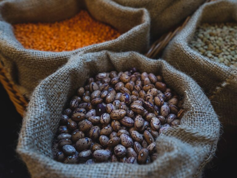 Fiber versus probiotics: only one was linked to longer survival on cancer immunotherapy