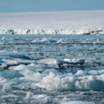 Puente de Beringia: el plancton del Ártico guarda su fecha
