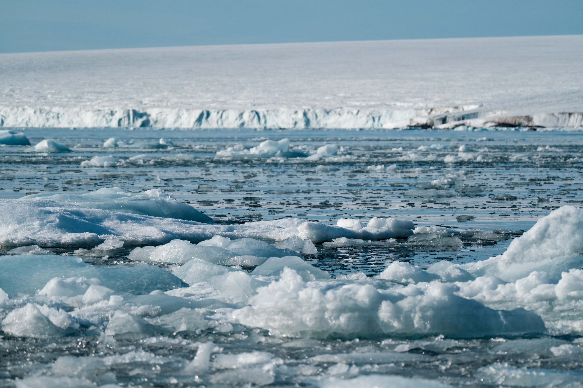 Puente de Beringia: el plancton del Ártico guarda su fecha