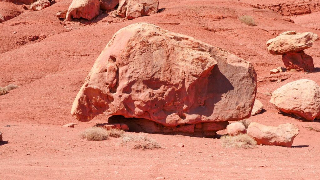 Perseverance’s Martian ‘shoreline’ began as magma, and water kept coming back to it